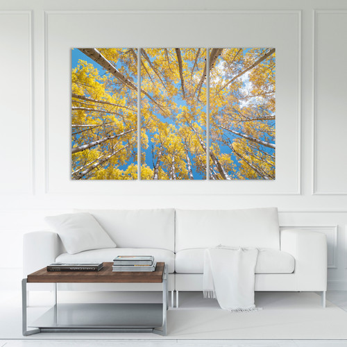 Triptych Wall Art - Aspen Forest Nature Photography Prints