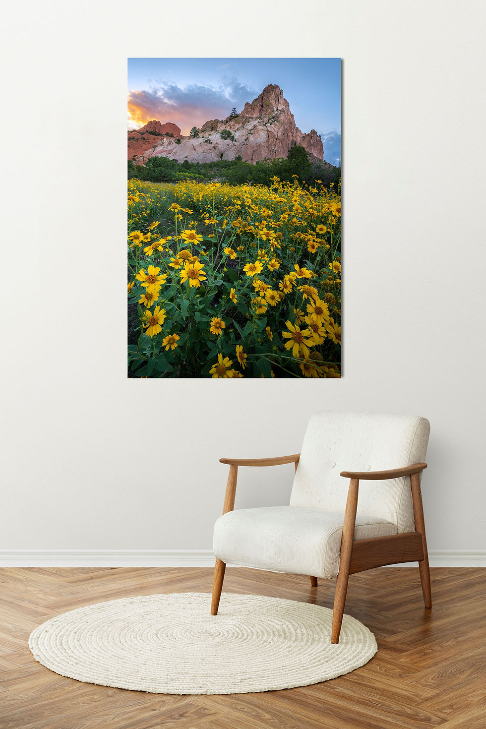 Thumbnail: living room photo of Yellow Wildflowers in Garden of the Gods Park Photography Fine Art Print by Daniel Forster