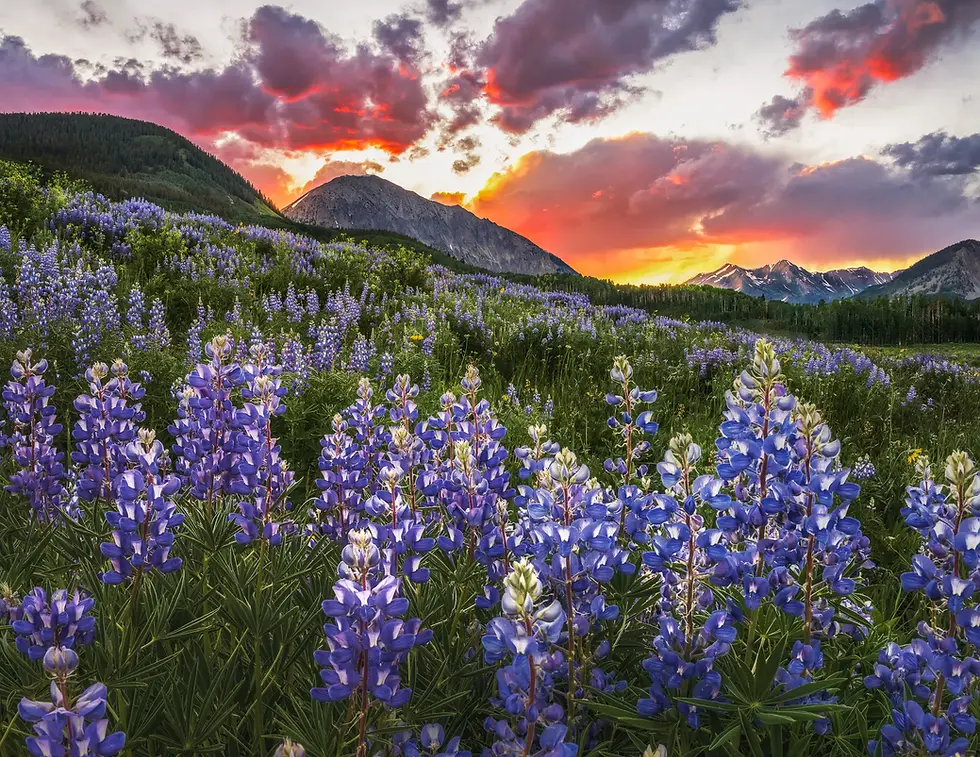 Thumbnail: Colorado 2026 Wall Calendar - Scenic Landscapes Fine Art by Daniel Forster Photography gothic mountain summer sunset