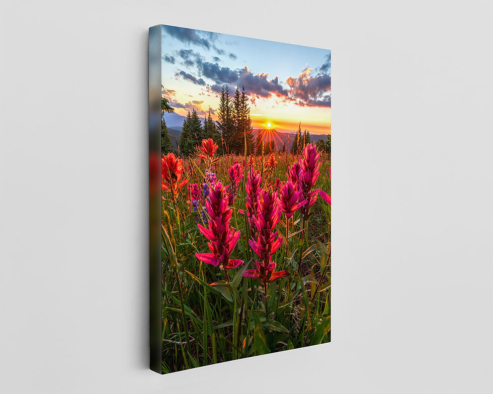 Thumbnail: canvas print of Colorado Wildflower Sunset Fine Art Landscape Photography Print by Daniel Forster