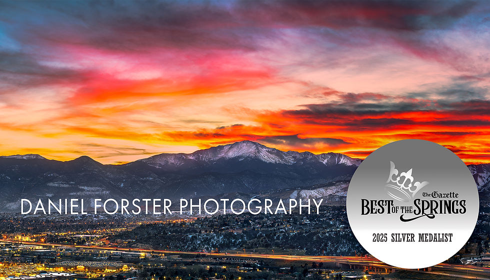 Daniel Forster Photography Best of the Springs 2025