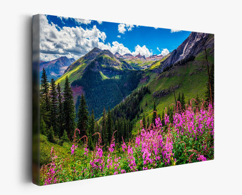 canvas wall art print of Colorado Fine Art Landscape Photography | San Juan Mountain Wildflowers Print