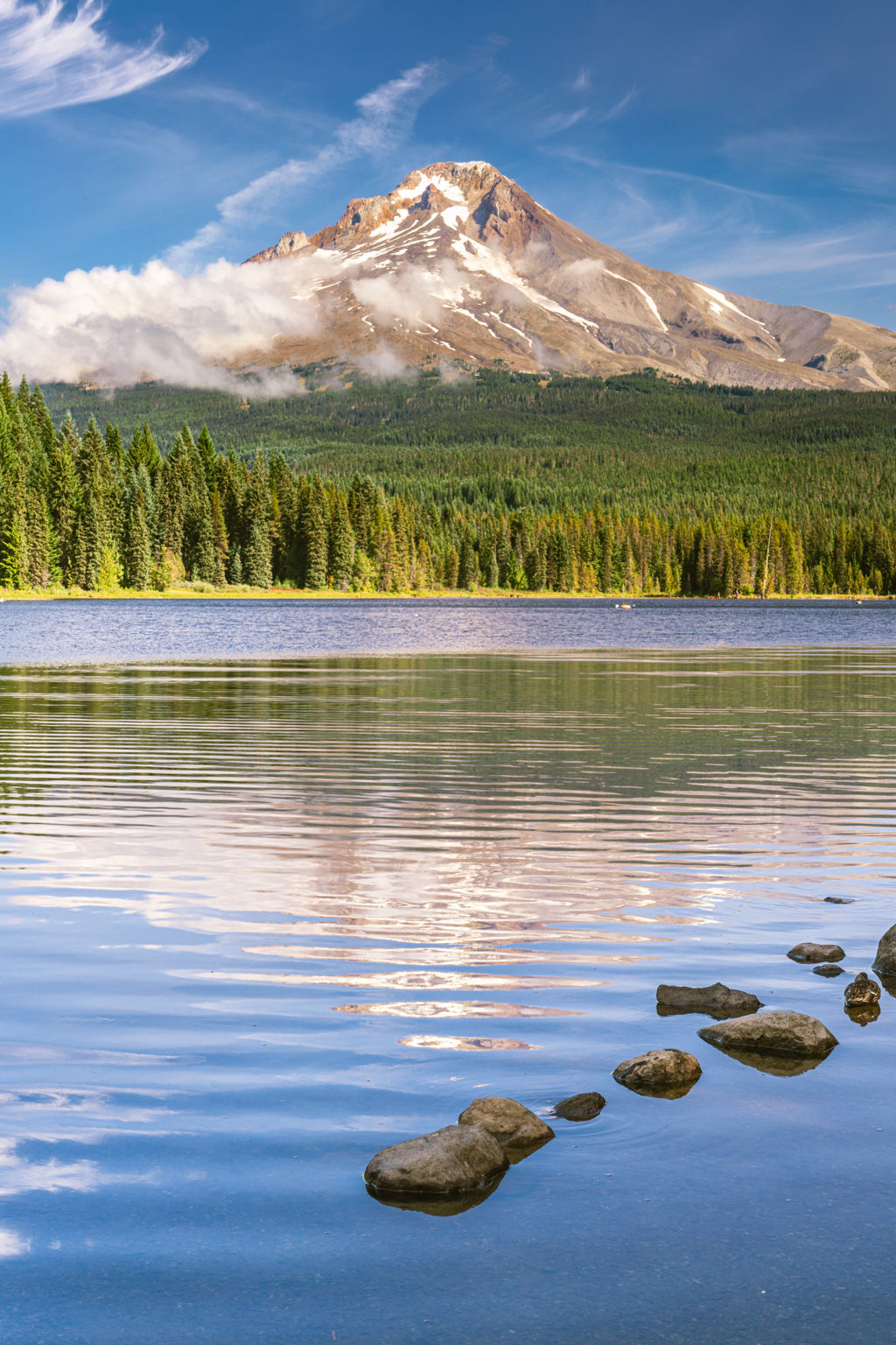 Mount Hood  Photo - Oregon Landscape Fine Art Print - Trillium Lake Photography by Daniel Forster