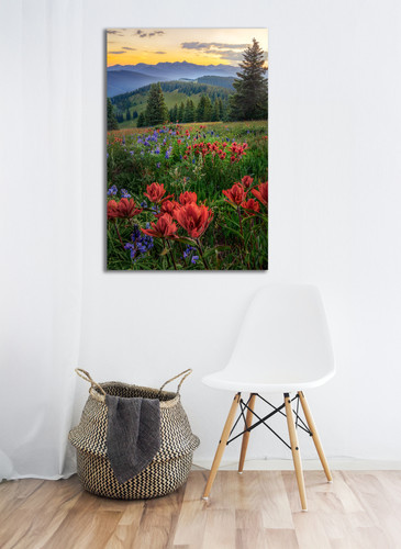 Colorado Wildflower Sunset | Fine Art Landscape Photography Print