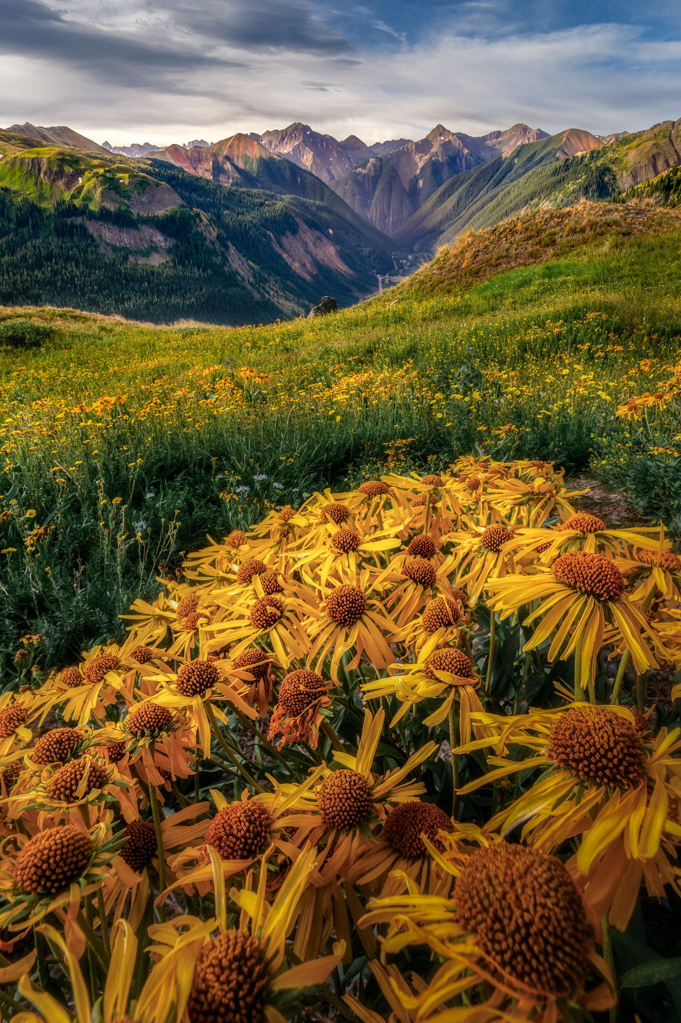 San Juan Mountains - Colorado Landscape Print by Daniel Forster Photography