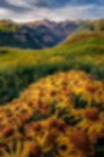 San Juan Mountains - Colorado Landscape Print by Daniel Forster Photography