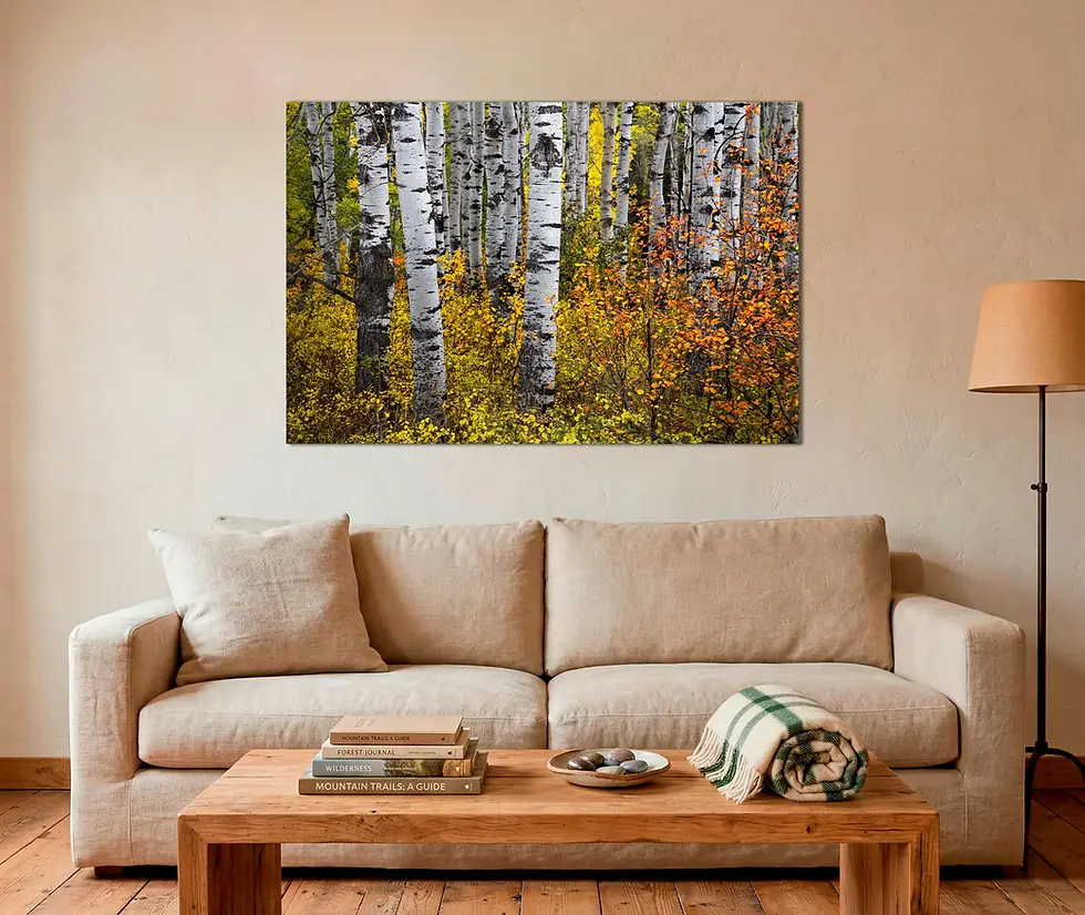 Thumbnail: Photo over couch of Colorful Autumn Aspen Forest Kebler Pass Colorado Nature Photography print by Daniel Forster
