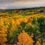 Thumbnail: Autumn Picture of The Castles - Photo of Ohio Creek Pass in Colorado by Daniel Forster