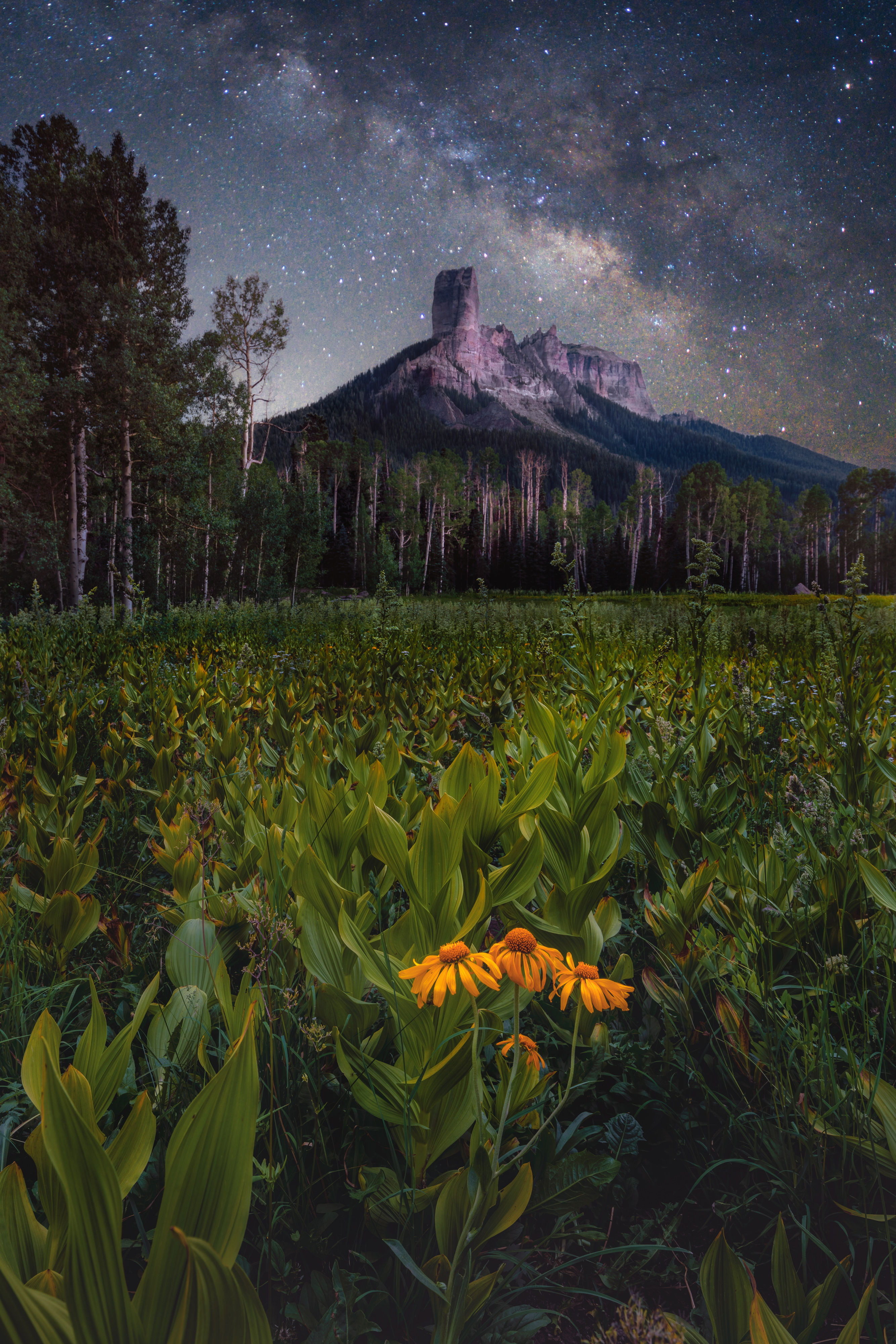 Milky Way over Chimney Rock in San Juan Mountains Colorado Summer Wildflowers Photo