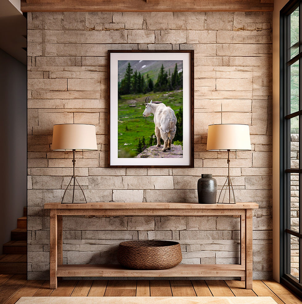 mock up of Mountain Goat in Glacier National Park Montana - Wildlife Photography Print by Daniel Forster
