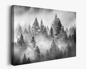 Fine Art Canvas Wall Art Landscape Nature Print of Foggy Forest in Black and White by Daniel Forster Photography