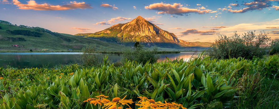 crested butte colorado wildflower sunset landscape print.jpg