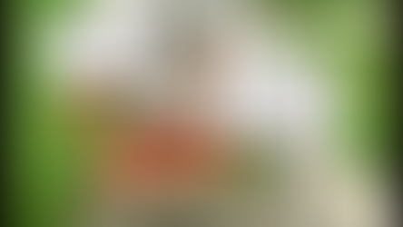 Another advantage to getting old: pensioners pay next to nothing for stamps