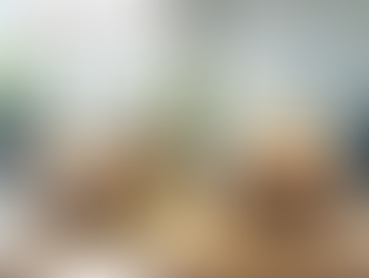 Meanwhile, at a snail estate agency in Cuba ... 