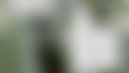 A way to deter the Universl Soldier?