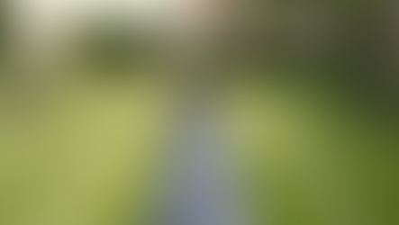 Lidl to start selling £400 solar panels 