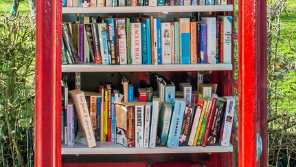 Phonebox Libraries - Cons and Pros