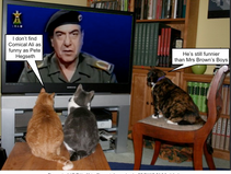 The comedy critics