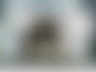 Cats discuss the thing nobody is allowed to say out loud 