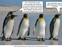 Falkland Island penguins to be given vote 