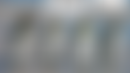 Falkland Island penguins to be given vote