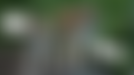 Tigers love Hot Chocolate