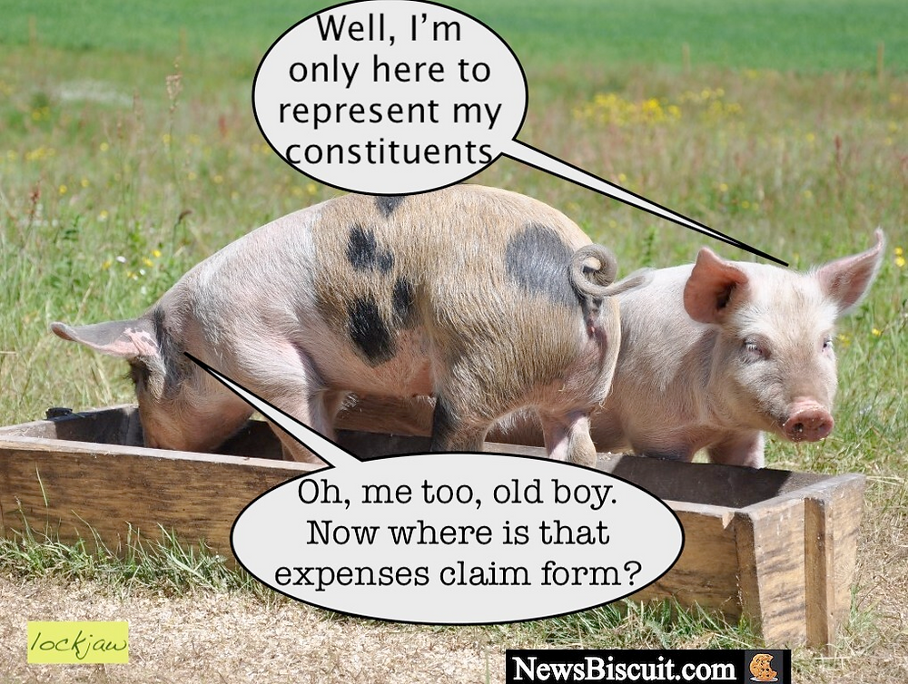 Like pigs at the trough