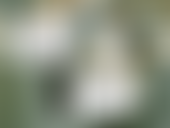 AI is only what used to be known as common sense