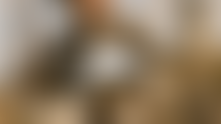 Tonight on Trump Movies©: Man of La Mancha