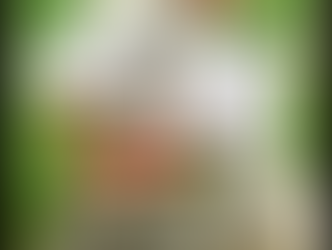 You can see why pensioners vote Reform