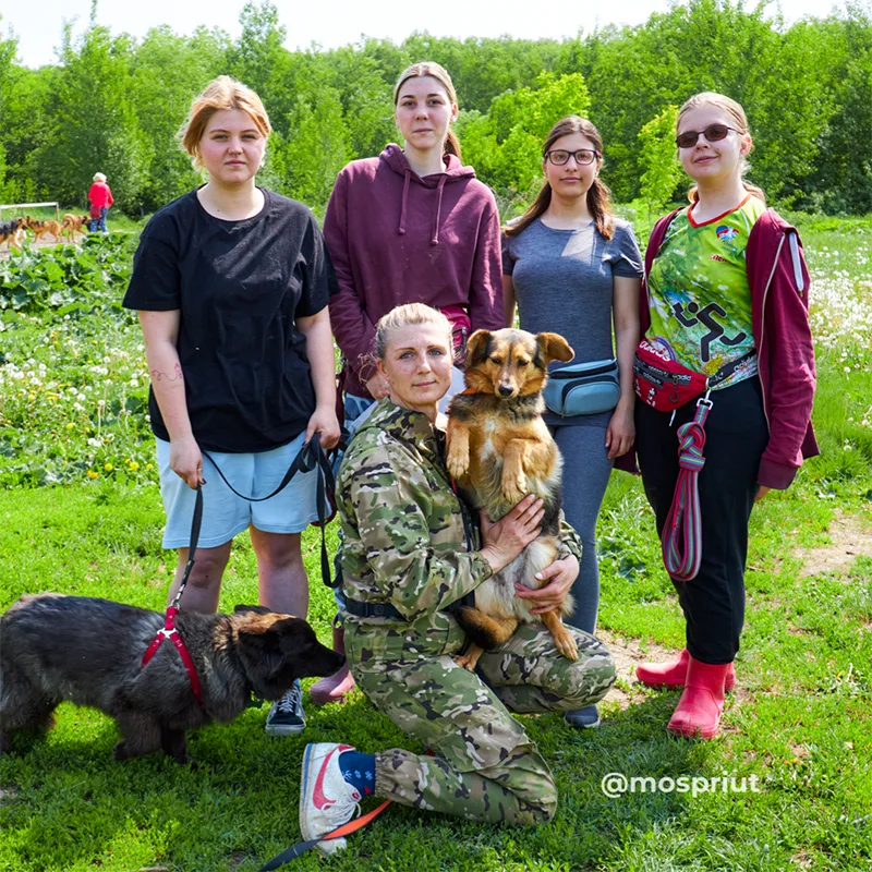 Приют щербинка. Приют для бездомных собак в москве. Щербинский приют для собак. Щербинский приют для животных. Приют щербинка сайт.