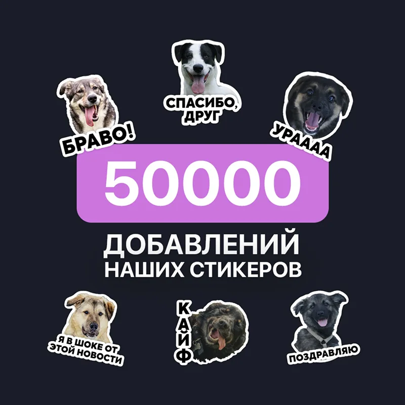 Стикеры с нашими собаками скачали уже более 50000 раз 😳 А вы уже скачали их?