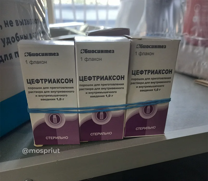 Помогите нам вылечить маленькую собачку Лею 🙏 | Приют для бездомных животных (собак), Москва, МО
