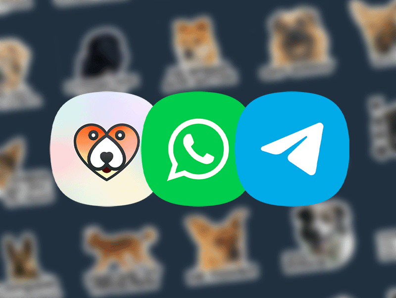 Как установить наши стикеры для WhatsApp и Telegram? | Приют Щербинка для бездомных животных (собак), Бутово, Москва, ЮЗАО