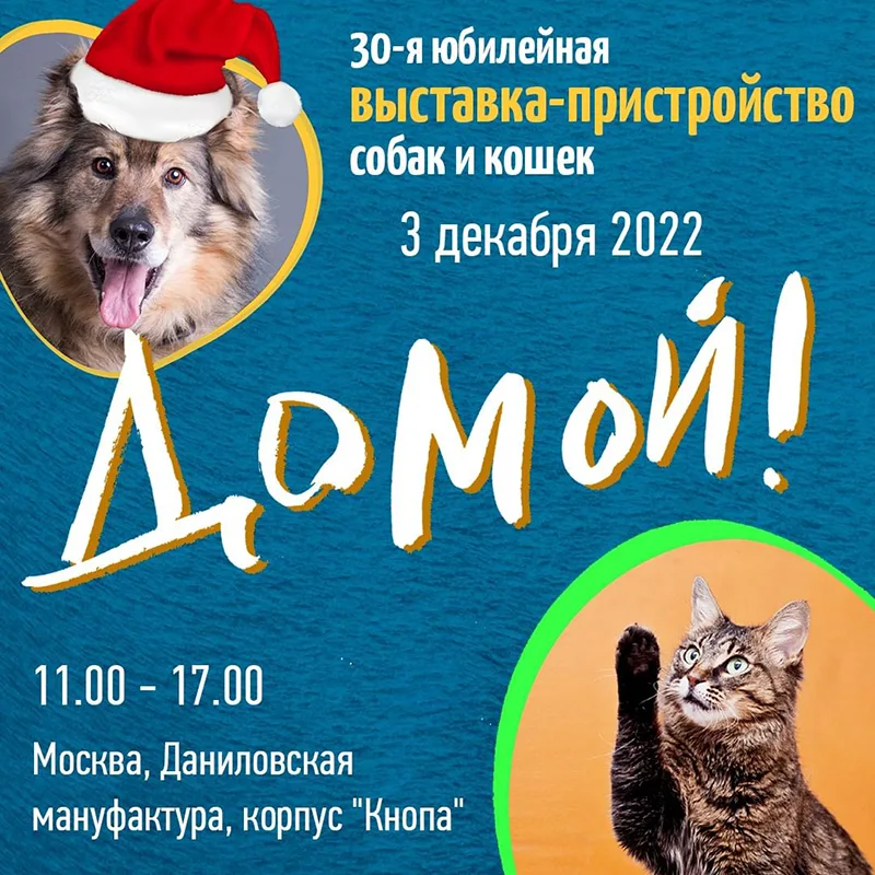 Приходите на фестиваль питомцев из приютов 03.12 познакомиться с Лёвой и Фанком из приюта Щербинка - mospriut