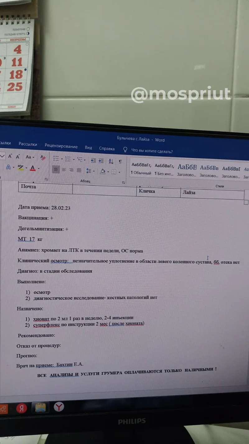 Открываем сбор для операции на лапу маленькой собачке Лайзе | Приют для бездомных животных (собак), Москва, МО