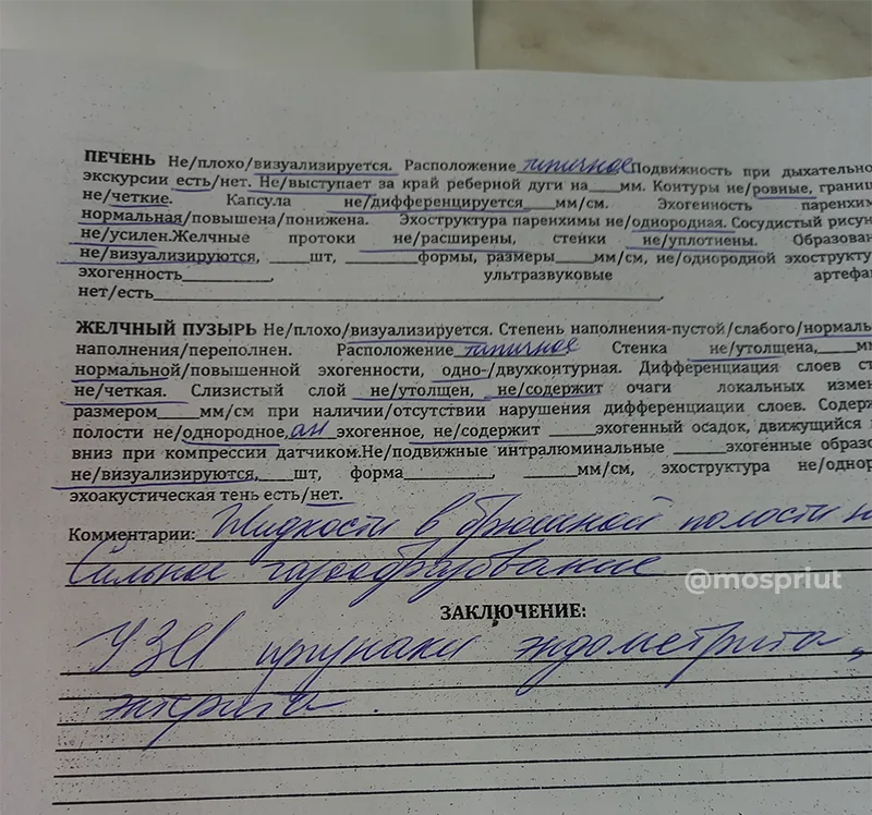 Помогите нам вылечить маленькую собачку Лею 🙏 | Приют для бездомных животных (собак), Москва, МО