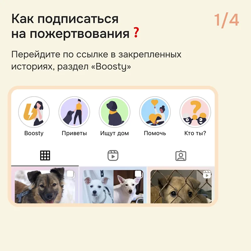 Мы запускаем подписку на пожертвования через сервис Boosty! 🔥 | Приют для бездомных животных (собак), Москва, МО