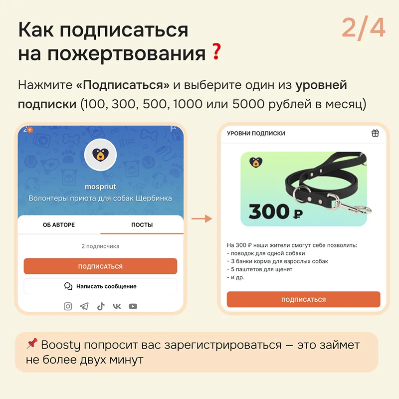Мы запускаем подписку на пожертвования через сервис Boosty! 🔥 | Приют для бездомных животных (собак), Москва, МО