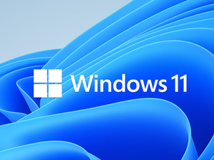 BRAND NEW WINDOWS 11