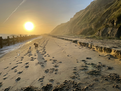 Ivy holiday cottage (1).heic