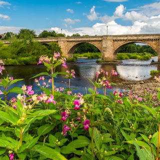 Corbridge.jpg