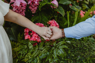 Close up image of the couple holding hands and showing the engagement ring. They are inside the conservatory there are pink flowers behind there hands. 