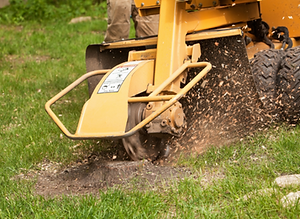 Tree stump removal