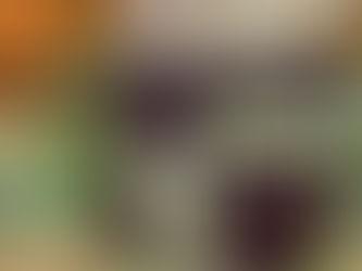 内側から整える新習慣。健美菜（KENBISAI）という選択