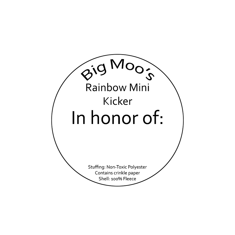 Thumbnail: Rainbow Mini Kicker - Donation