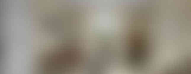 Den with a desk, chair small sofa chair and wall art