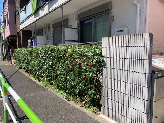伊東市大原 マンション植栽管理