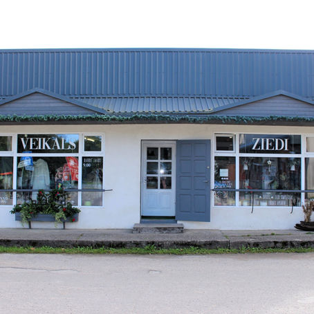 Konceptveikals "Flora+"