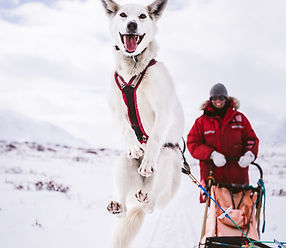 Winter Activities